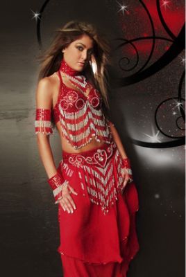 Heart Of Bollywood Belly Dancer Costume
