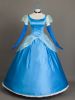 Cinderella Classic Costume Gown for Women