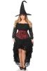 Spectacular 4 PC Lace Witch Corset Costume
