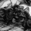 Gorgeous Black Rose Gothic Lace Veil