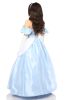 Cinderella Inspired Princess Corset Costume