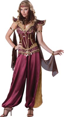 Desert Jewel Genie Harem Costume