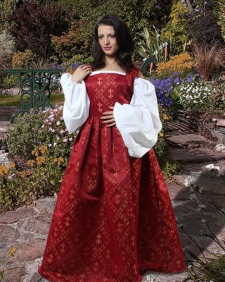 Beautiful Medieval Fleur de Lis Dress