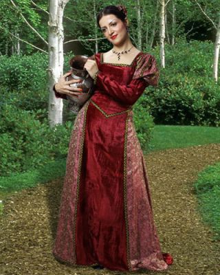 Women's Beautiful Dark Red Velvet Medieval Costume Dress