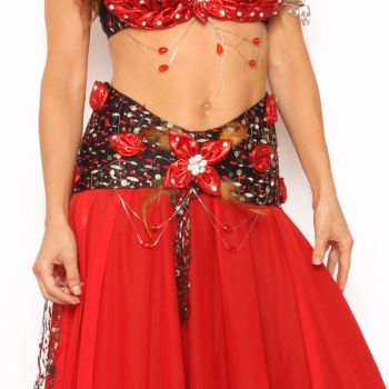 Gorgeous Belly Dancer Rhinestone Embroidered Belt (Color: (R-P): Red)